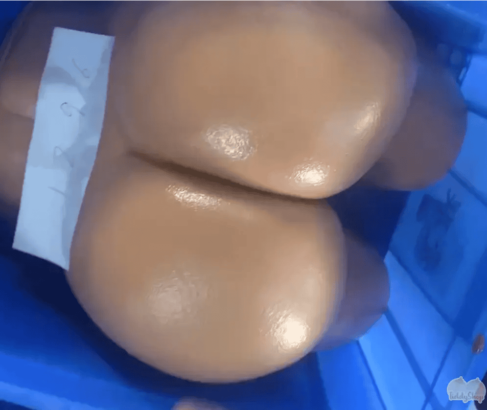 TiddyShop Jenna's Booty - Big Extra Jiggly Booty Butt Hip Toy- 24.2 kg Onahole (with vagina and anus) - Sex Toy - TiddyDollHouse TiddyShop