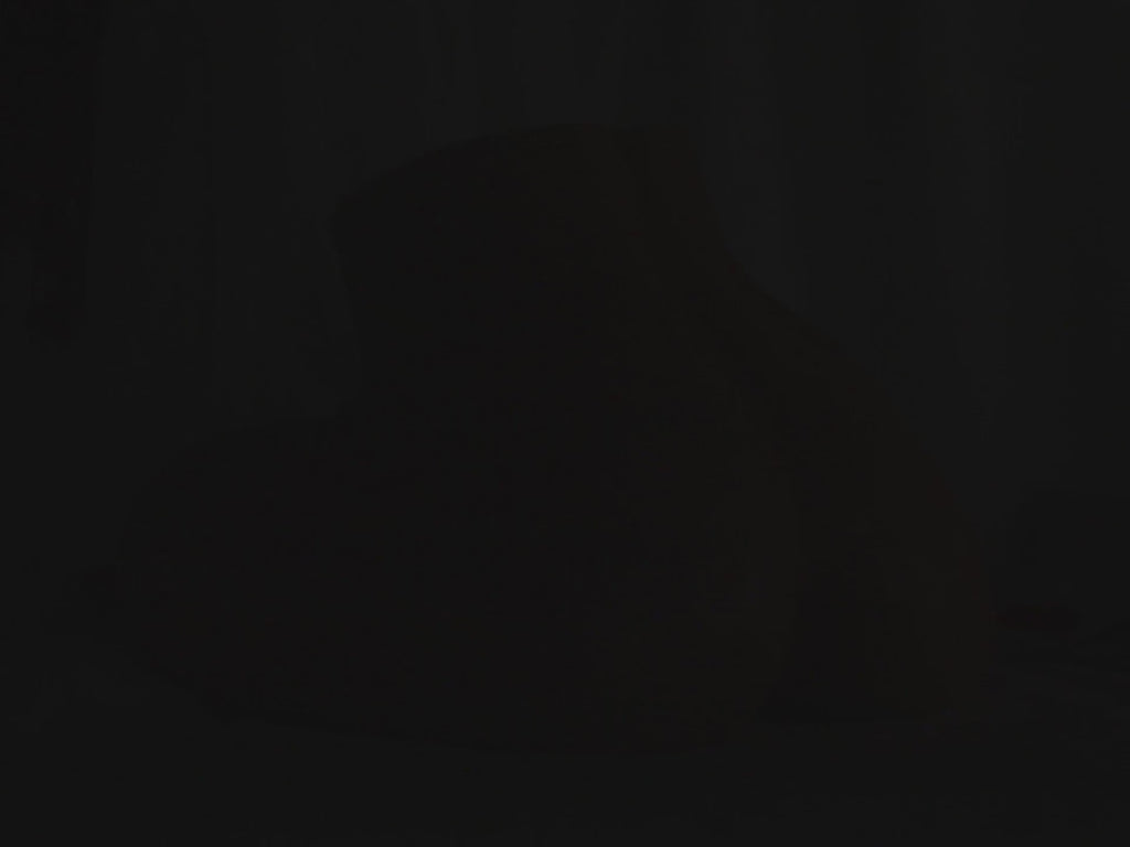 updated#gid://shopify/Video/45336454529334#video_id