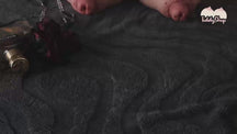updated#gid://shopify/Video/47938753888566#video_id