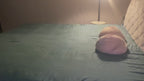 updated#gid://shopify/Video/26569871524020#video_id